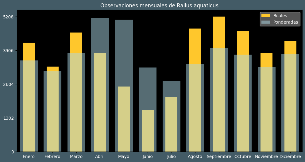 Observations by Month