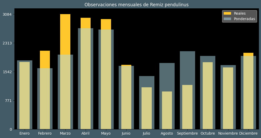 Observations by Month