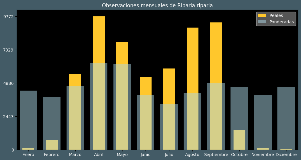 Observations by Month