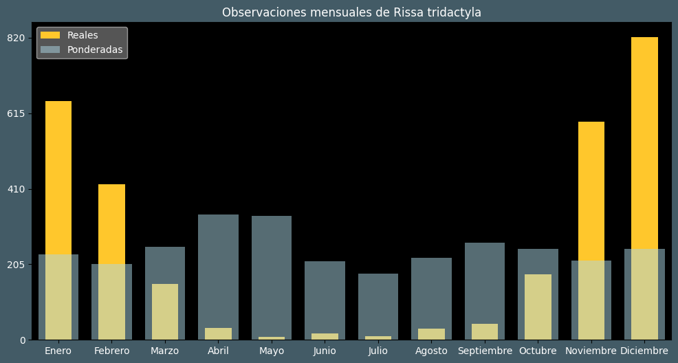 Observations by Month