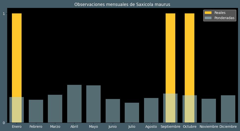 Observations by Month