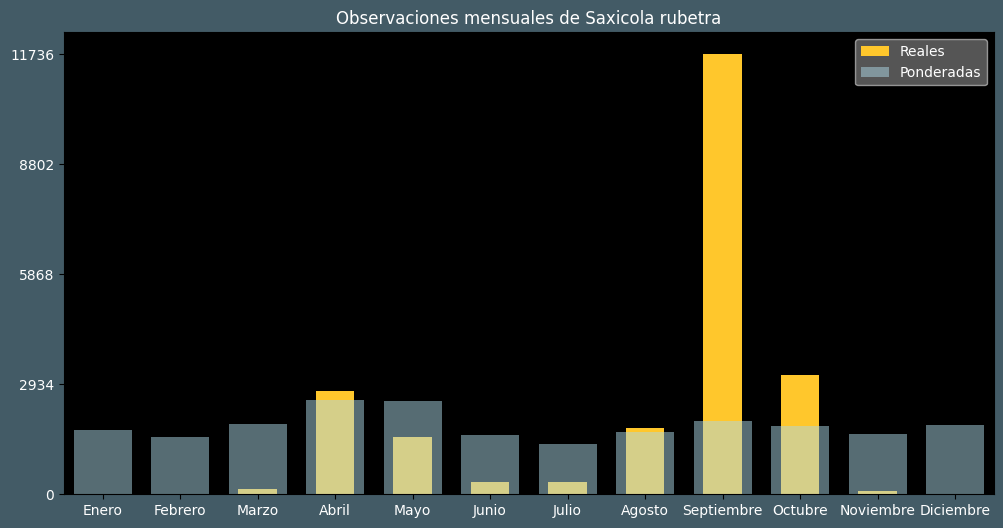 Observations by Month