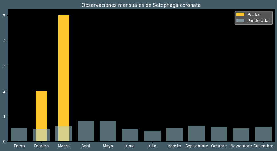 Observations by Month