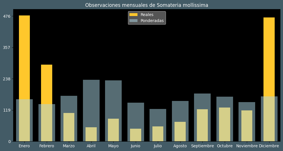 Observations by Month