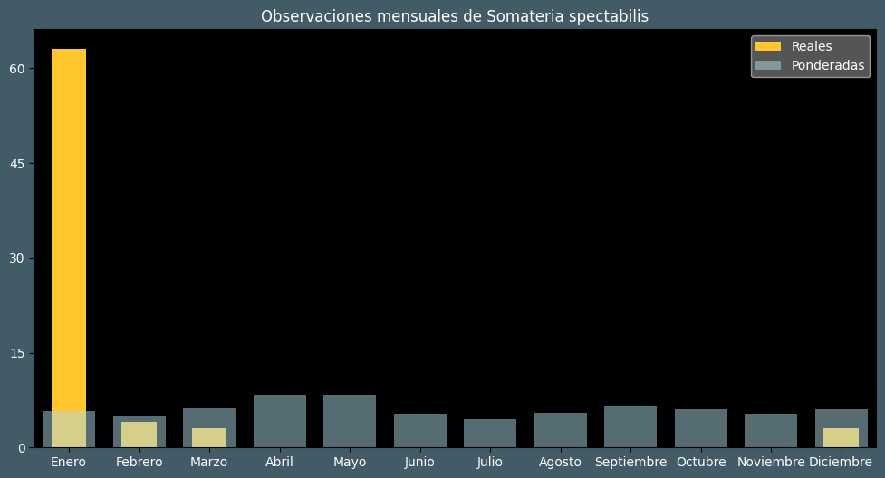 Observations by Month