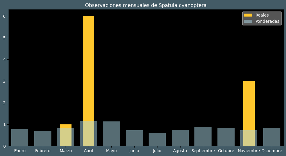 Observations by Month