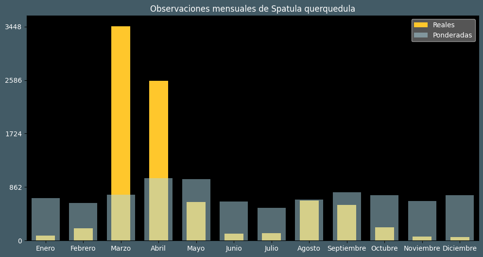 Observations by Month