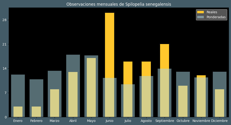 Observations by Month