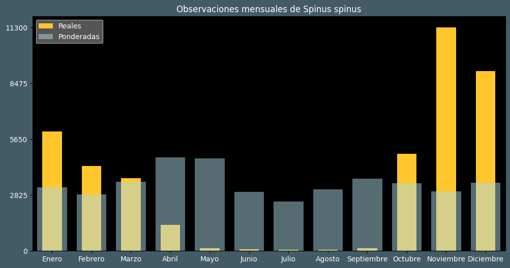 Observations by Month