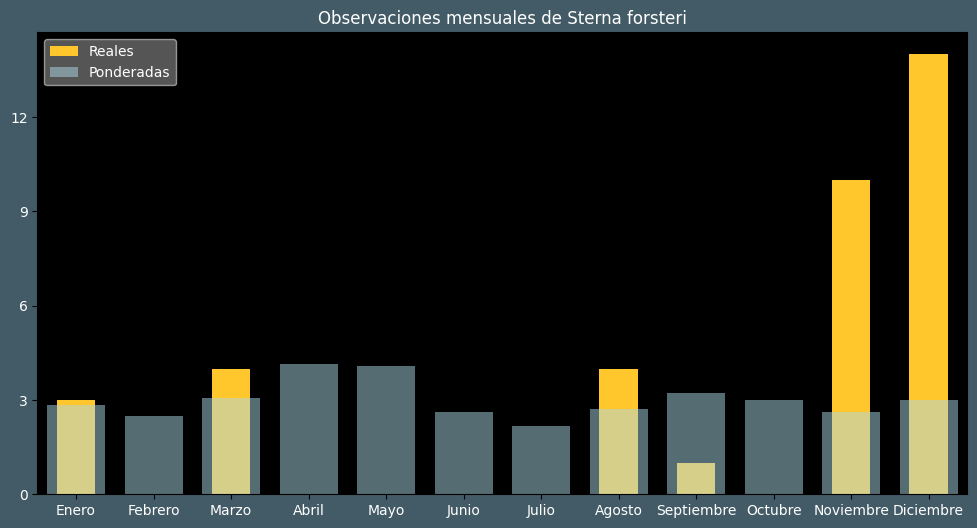 Observations by Month