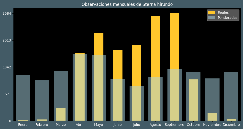 Observations by Month