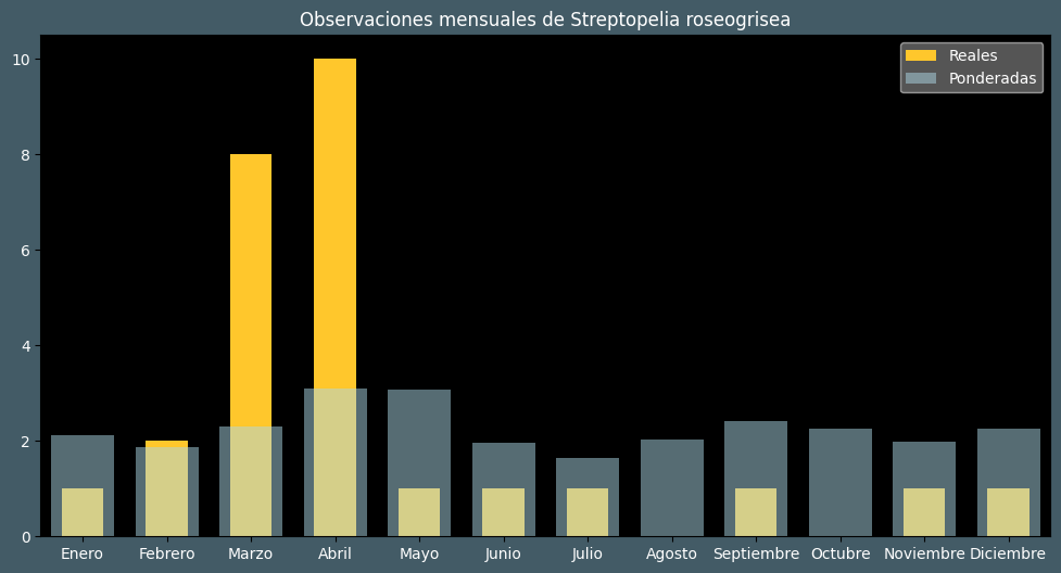 Observations by Month