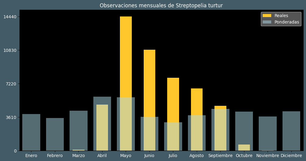 Observations by Month