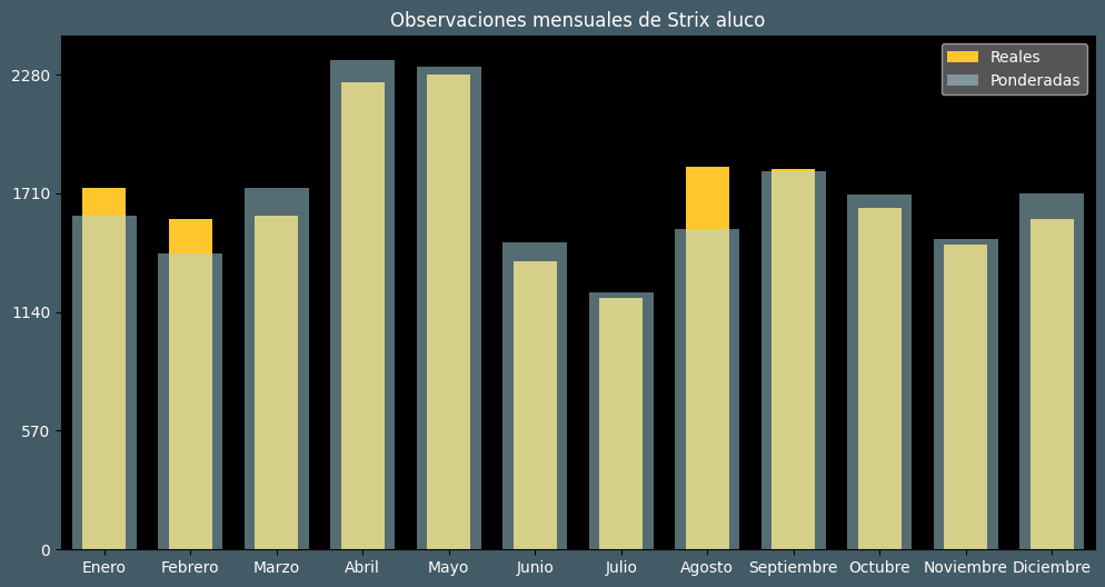 Observations by Month