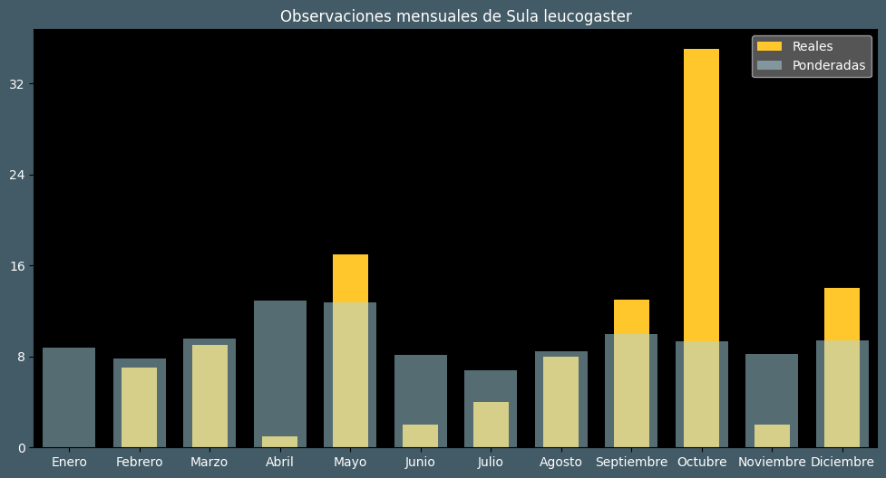 Observations by Month