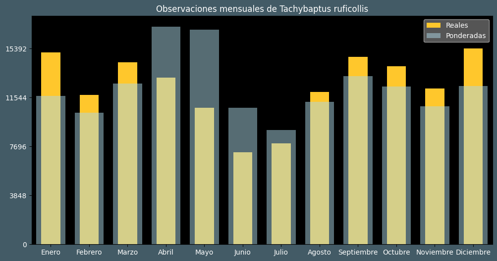 Observations by Month