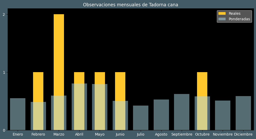 Observations by Month