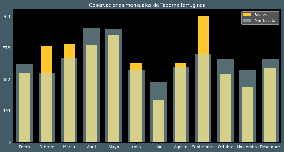 Observations by Month