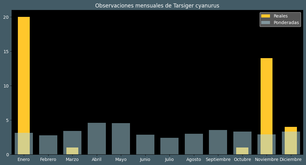 Observations by Month