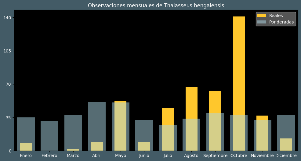 Observations by Month