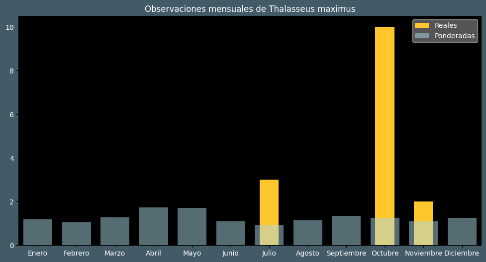 Observations by Month