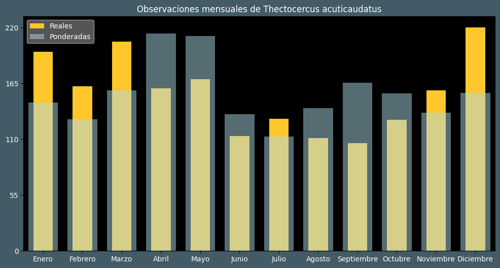 Observations by Month