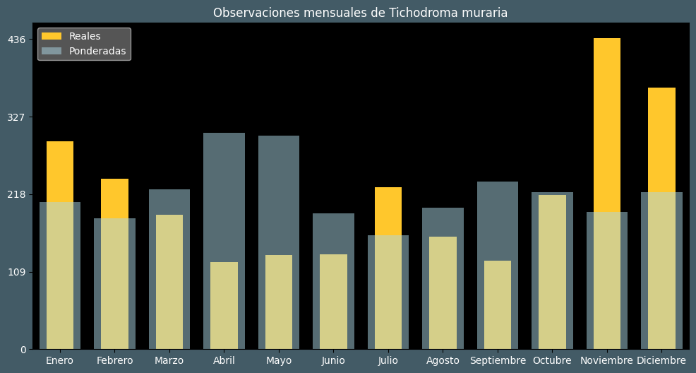 Observations by Month