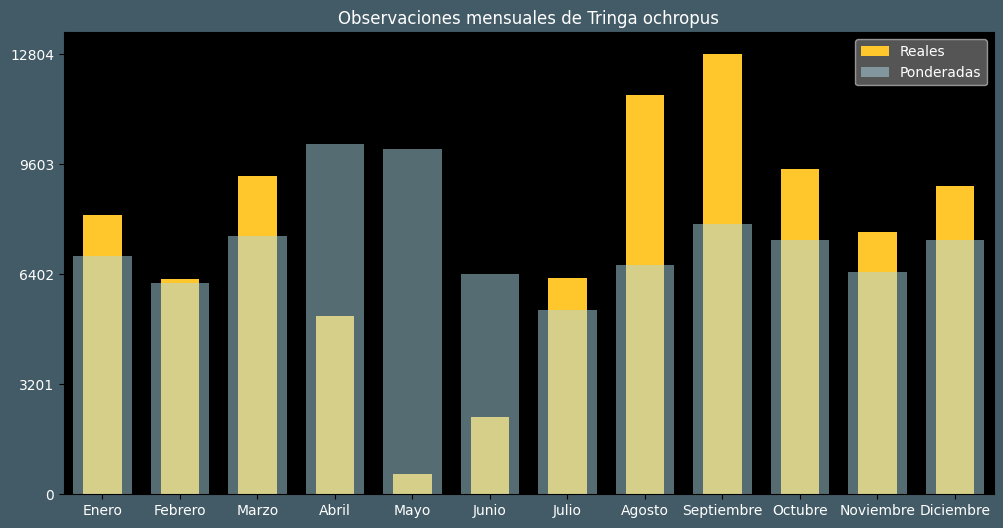 Observations by Month