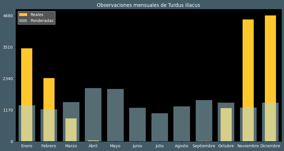 Observations by Month