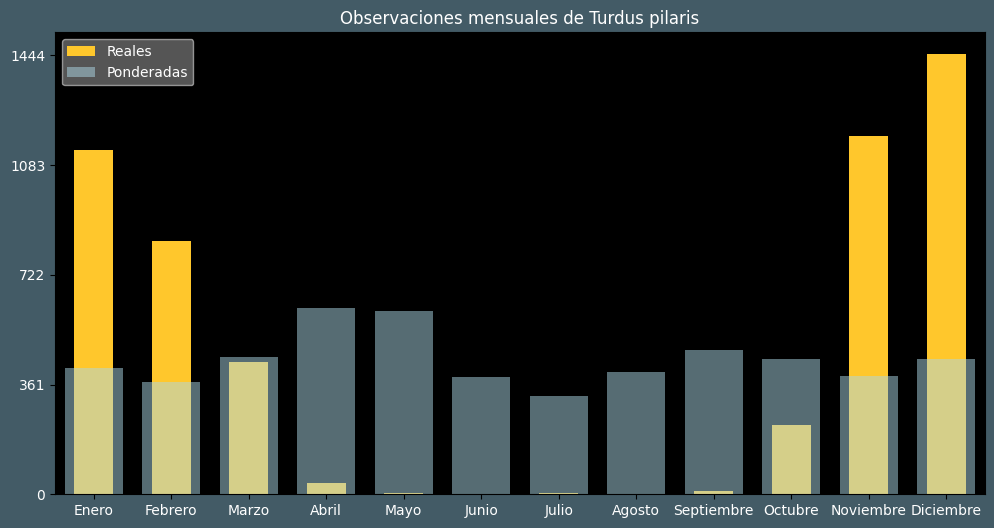 Observations by Month