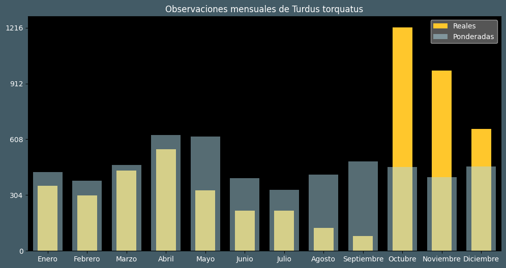 Observations by Month