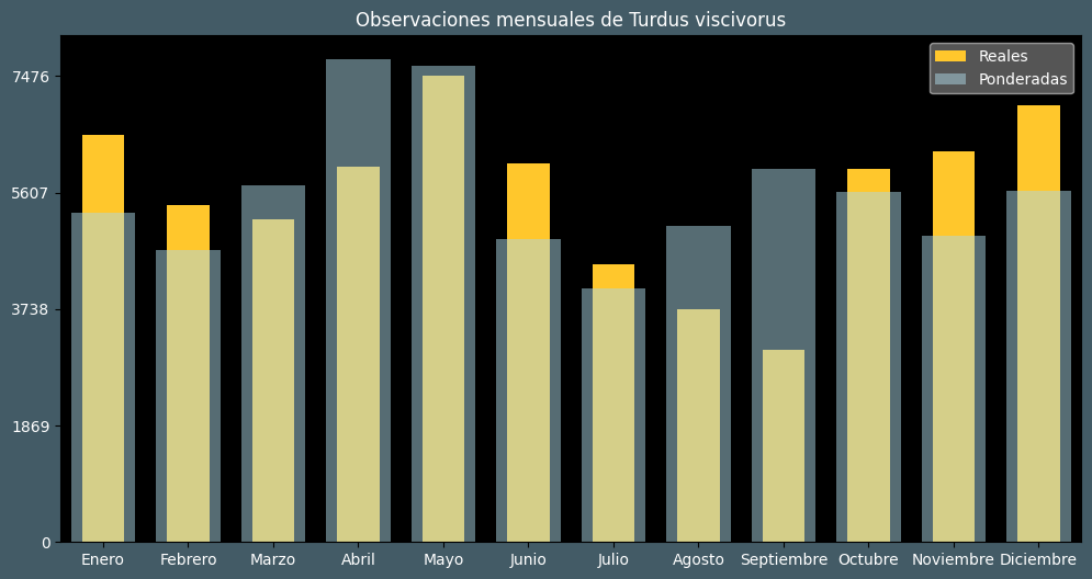 Observations by Month