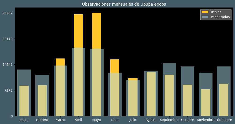 Observations by Month