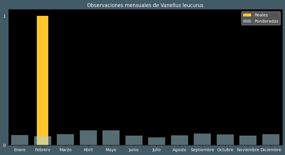 Observations by Month