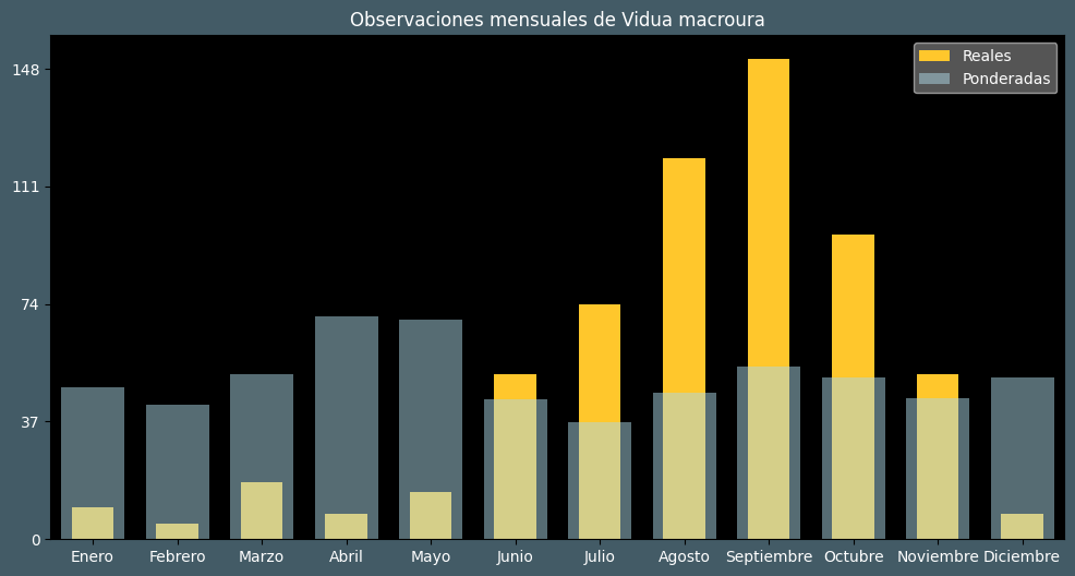 Observations by Month