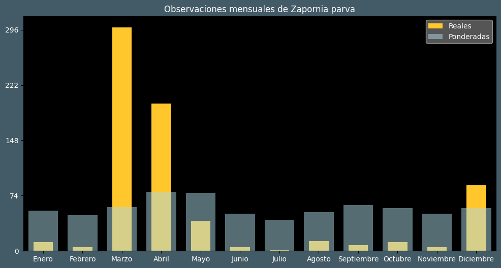 Observations by Month