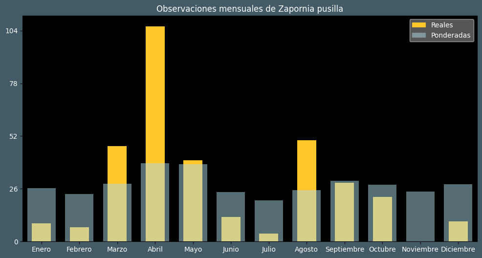 Observations by Month